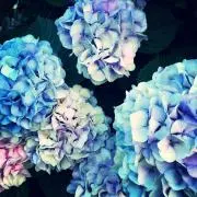non♡の画像