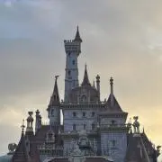 ぶどうの画像