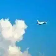 りーふの画像