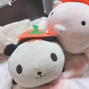 ぶぽんの画像