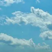 かなの画像