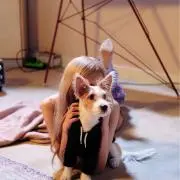 rosieの画像
