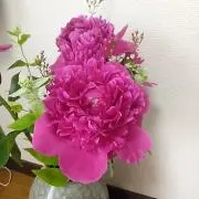 ちの画像
