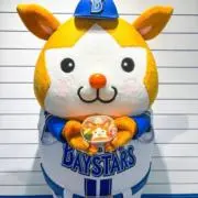 かいる