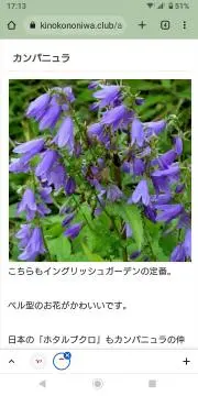 さくさくの画像
