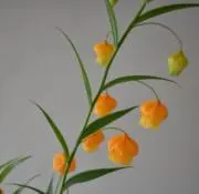 まるの画像