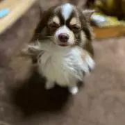 s.kの画像