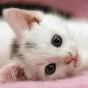 nanaの画像