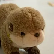 arcの画像