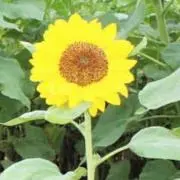 HAPPY☆