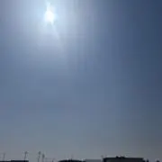 さーの画像