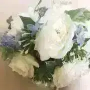 ゆぅゆぅ☆返信遅れます
