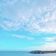 Tiaの画像