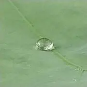 マルクの画像