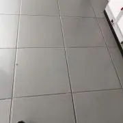 おおたの画像