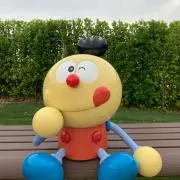 かんちゃんの画像