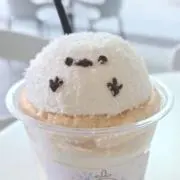 konoの画像