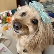 みかんこ