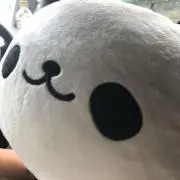 Nさんの画像