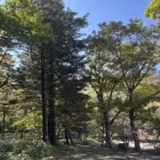 ネネの画像