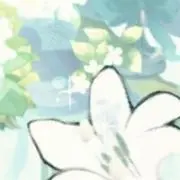 月の画像