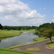 まこ
