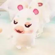ぺいの画像