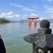 めみ