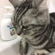 NICO