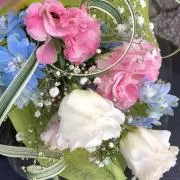 Jonaの画像