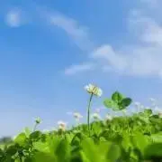 ままちゃんの画像