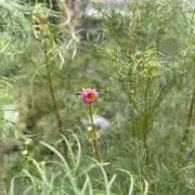 ぬ　【プロフィール必読】の画像