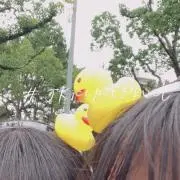 りか