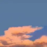 中トロ