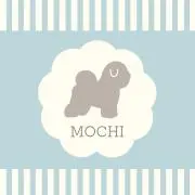 mochiᕱ⑅︎ᕱ"の画像
