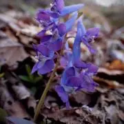 mの画像