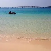 ゆいまーるの画像