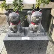 りんごの木の画像