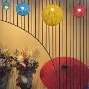 ありすの画像