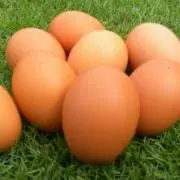 こだわり赤たまごの画像