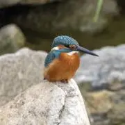 Kの画像
