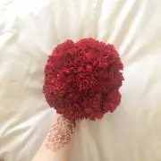 IKの画像