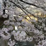 ユウの画像