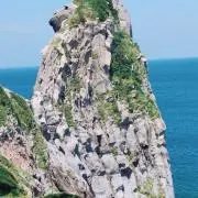 ともくの画像