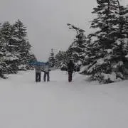 つば九郎