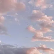 おもちの画像