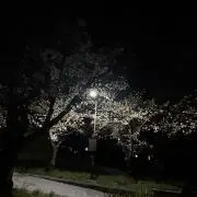 kev17の画像