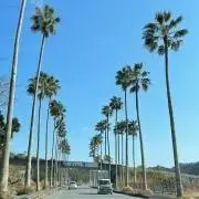 haruruの画像
