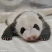 nahooo00の画像