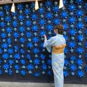 だんごの画像